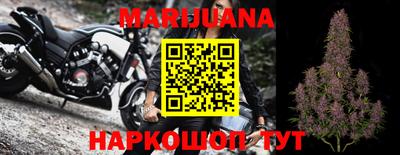 прущие грибы Пушкино
