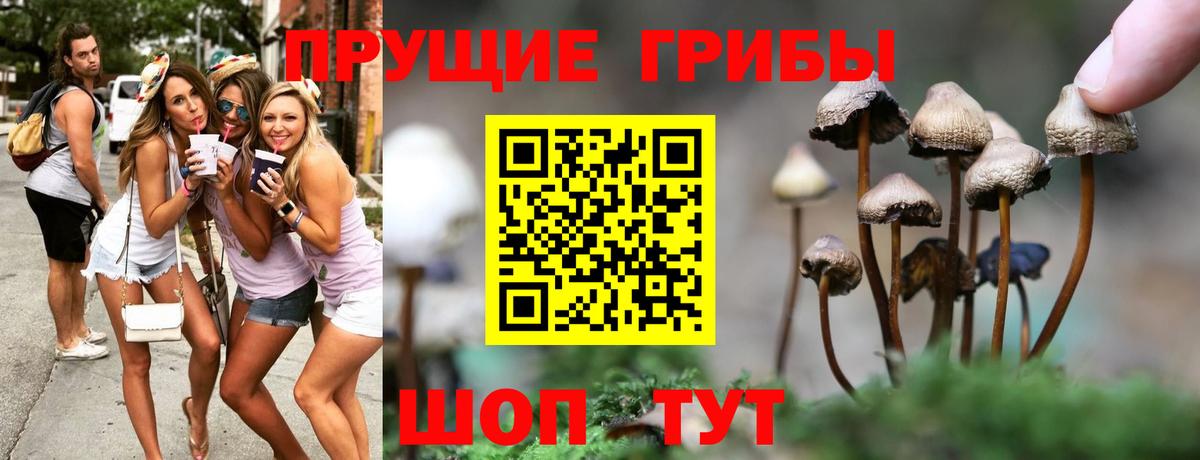 Галлюциногенные грибы MAGIC MUSHROOMS  Вход с VPN  Галлюциногенные грибы Magic Shrooms  Сальск 